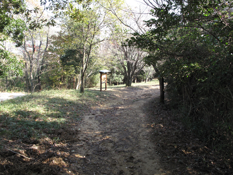 20131116hike (239)